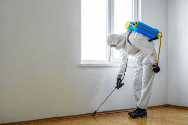 Pest Control for Hotels in Palmer Lake, CO